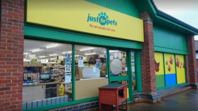 Fachada de pet shop colorida com vidraças grandes e decoração vibrante.